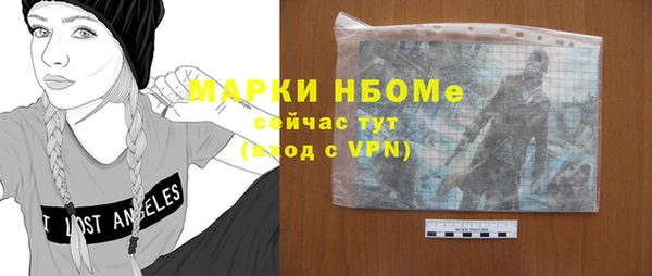 хмурый Нея