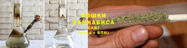 хмурый Нея