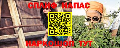 МДПВ Татарск